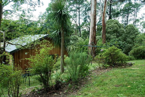 Luxury Forest Retreat - Puffing Billy - Kingaroy Accommodation 2