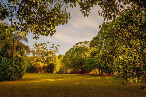 Malanda Lodge - Kingaroy Accommodation 1