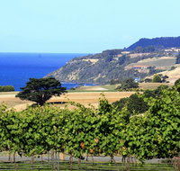 Mallavale Farm Boat Harbour - Kingaroy Accommodation