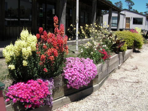 Mansfield Holiday Park - Kingaroy Accommodation 3