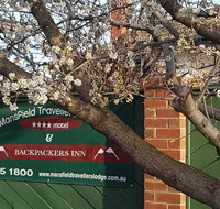 Mansfield Travellers Lodge - Kingaroy Accommodation