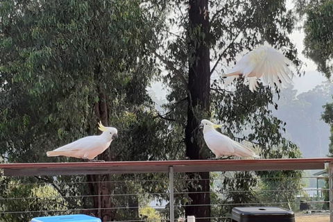Merry Mary Casa - Kingaroy Accommodation 3