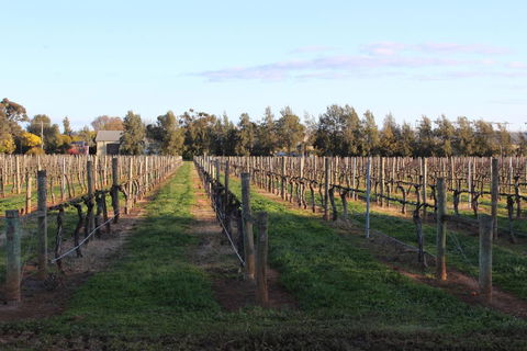 Milawa Vineyard Views - Guesthouse 1 - Kingaroy Accommodation 1