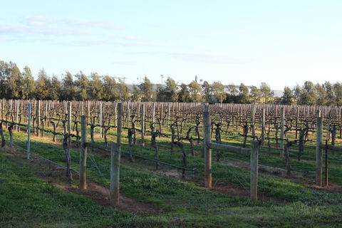 Milawa Vineyard Views - Guesthouse 2 - Kingaroy Accommodation 0