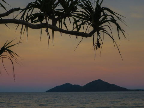 Mission Beach Hideaway Holiday Village - Kingaroy Accommodation 1