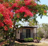 Mt Larcom Tourist Park - Kingaroy Accommodation