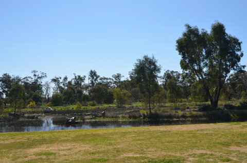 Murrord Wetlands - Kingaroy Accommodation 2