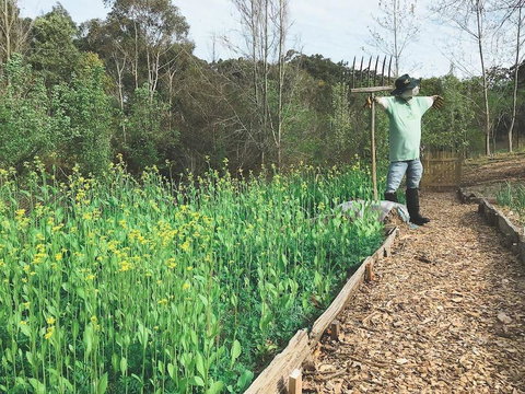 Mylor Farm, Adelaide Hills - Kingaroy Accommodation 1