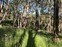 Mylor Farm Adelaide Hills