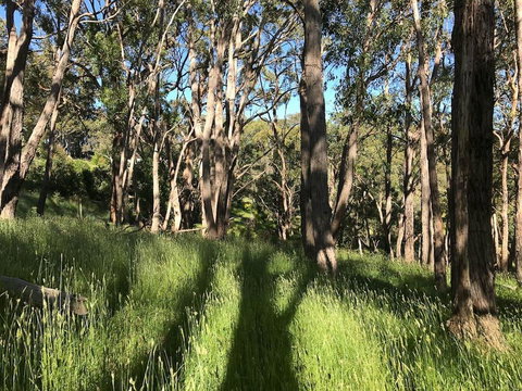 Mylor Farm, Adelaide Hills - Kingaroy Accommodation 0