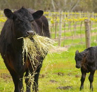 Naimanya Cottage - Kingaroy Accommodation