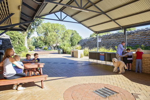 Discovery Parks - Woodman Point - Kingaroy Accommodation 32