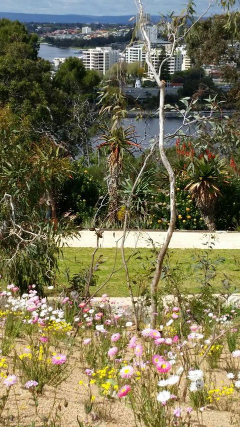 Dunes Scarborough Beach - Kingaroy Accommodation 43