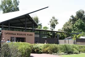 Dunes Scarborough Beach - Kingaroy Accommodation 40
