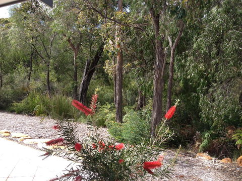 Cape Villas Dunsborough Unit 2 - Kingaroy Accommodation 22