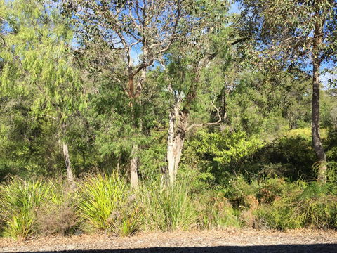 Cape Villas Dunsborough Unit 2 - Kingaroy Accommodation 26