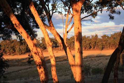 Hotham Ridge Estate - Kingaroy Accommodation 30