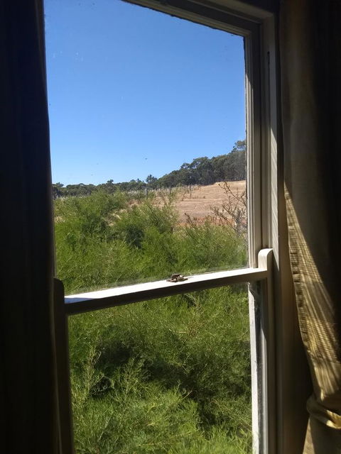 Hotham Ridge Estate - Kingaroy Accommodation 8
