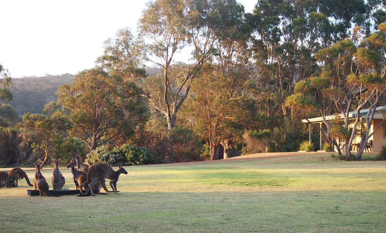  Kingaroy Accommodation