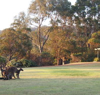 Riverside Retreat Chalets Walpole - Kingaroy Accommodation