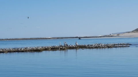 Kalbarri Seaview Villas - Kingaroy Accommodation 33