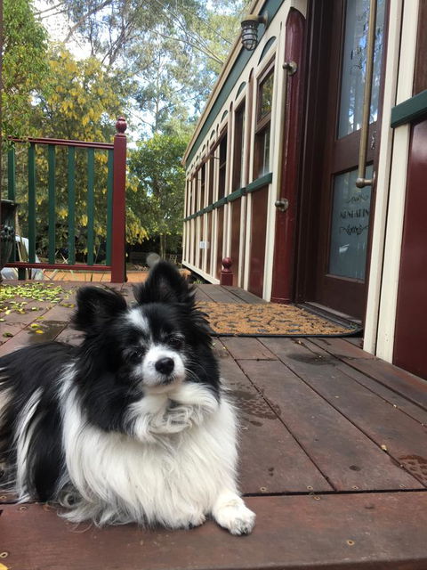 Quiet Escapes Cottages - Kingaroy Accommodation 15