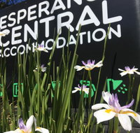 Esperance Central Accommodation - Kingaroy Accommodation