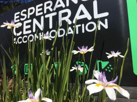 Esperance Central Accommodation - Kingaroy Accommodation 0