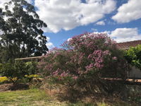 Book Cockburn Central Accommodation Vacations Kingaroy Accommodation Kingaroy Accommodation