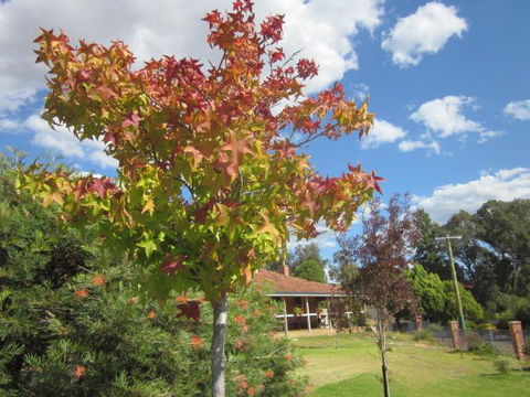 Bridgetown Valley Lodge - Kingaroy Accommodation 40