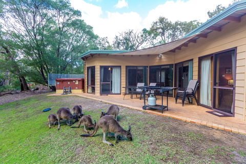 Yelverton Brook Conservation Sanctuary - Kingaroy Accommodation 18