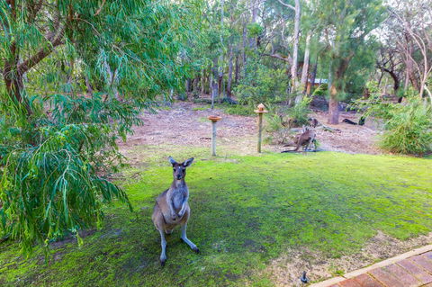 Yelverton Brook Conservation Sanctuary - Kingaroy Accommodation 11