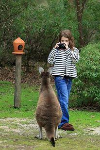 Yelverton Brook Conservation Sanctuary - Kingaroy Accommodation 39