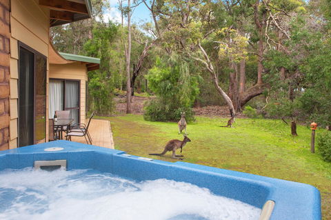 Yelverton Brook Conservation Sanctuary - Kingaroy Accommodation 9