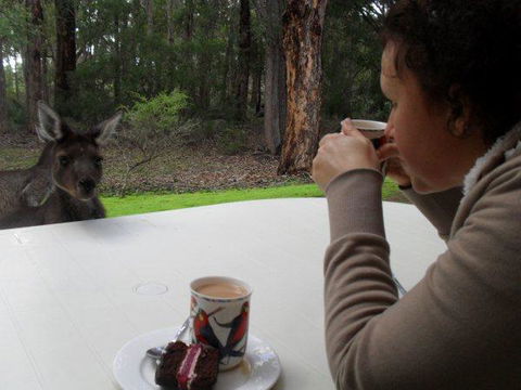 Yelverton Brook Conservation Sanctuary - Kingaroy Accommodation 44