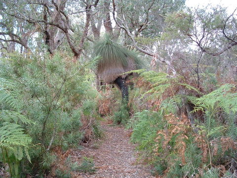 Yelverton Brook Conservation Sanctuary - Kingaroy Accommodation 41