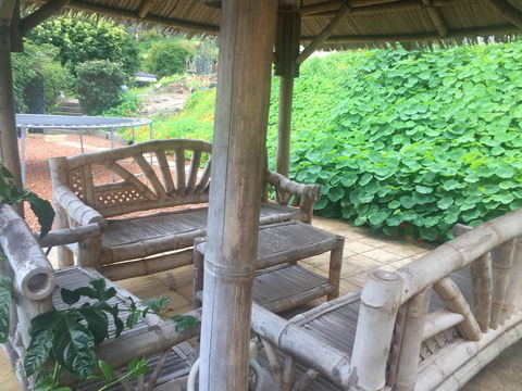 Bright & Beautiful Home On The Hills! - Kingaroy Accommodation 25