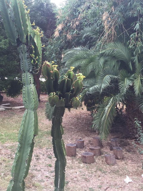 Bright & Beautiful Home On The Hills! - Kingaroy Accommodation 29