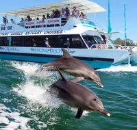 Belvedere Caravan Park - Kingaroy Accommodation