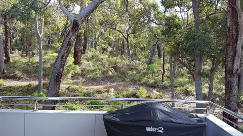 Cape Villas - Kingaroy Accommodation 5