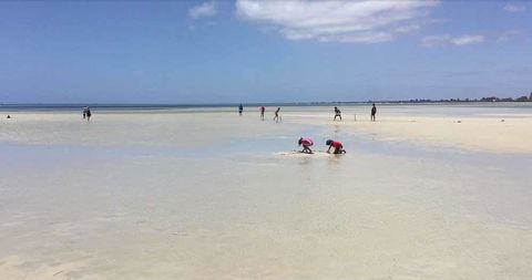 Beach House Dunsborough - Kingaroy Accommodation 22
