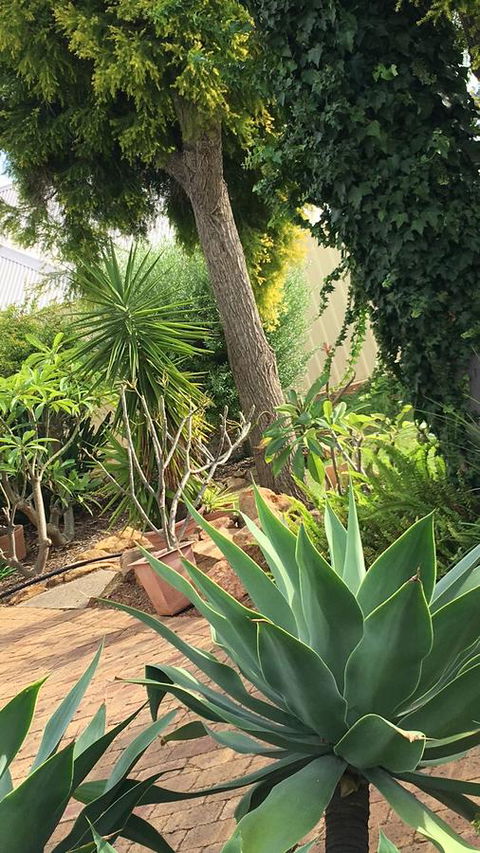 Armadale Cottage Bed & Breakfast - Kingaroy Accommodation 1