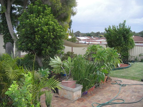 Armadale Cottage Bed & Breakfast - Kingaroy Accommodation 39