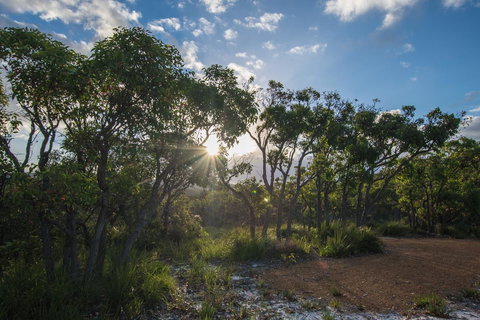 Cape Howe Cottages - Kingaroy Accommodation 1