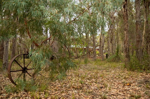 Denmark Forest Retreat - Kingaroy Accommodation 5