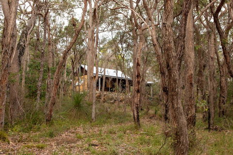 Denmark Forest Retreat - Kingaroy Accommodation 27