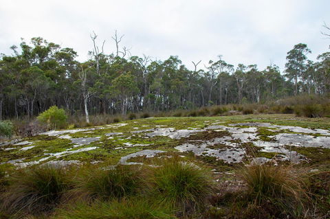 Denmark Forest Retreat - Kingaroy Accommodation 26