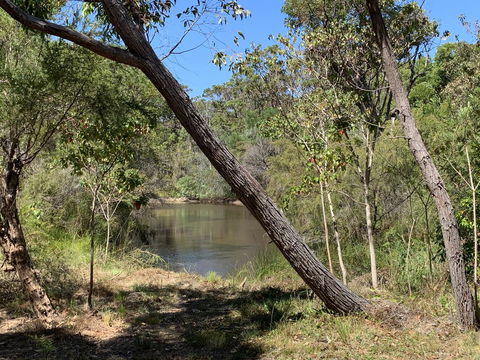 Denmark Forest Retreat - Kingaroy Accommodation 32