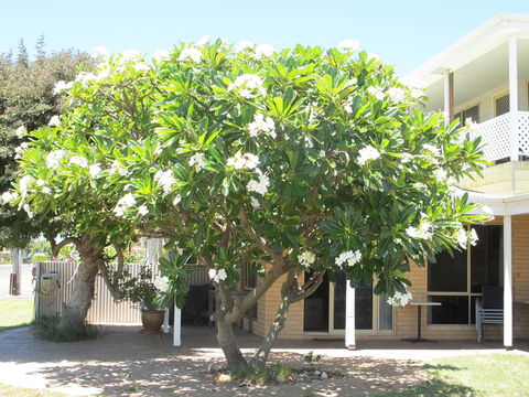 Kalbarri Riverfront Unit - Kingaroy Accommodation 6