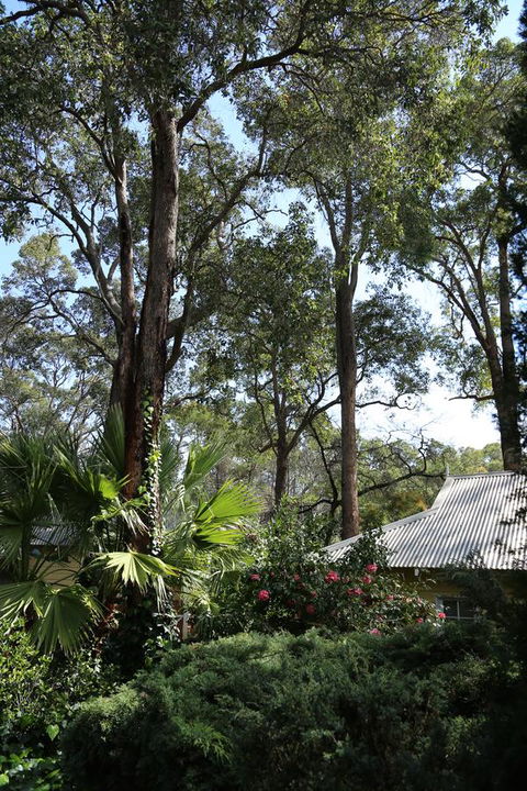 Two Sisters Chalets - Kingaroy Accommodation 33